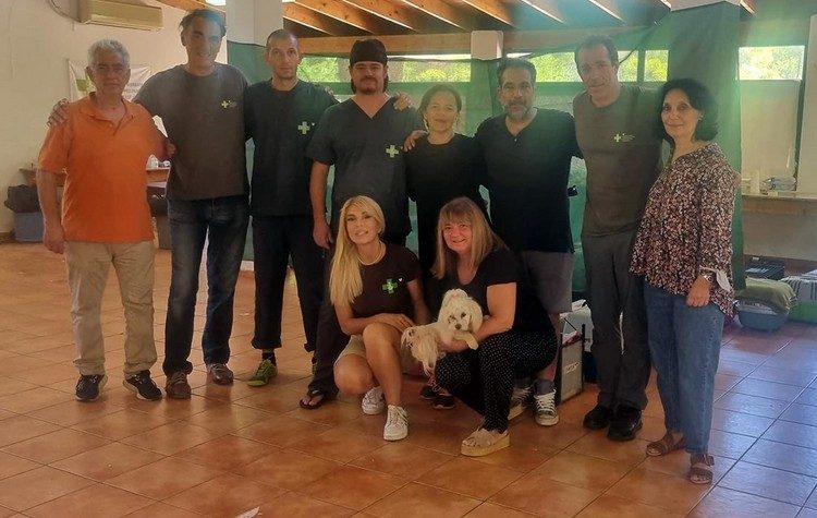 Πετυχημένη η α’ δράση μαζικών στειρώσεων αδέσποτων γατιών στο Μαραθώνα