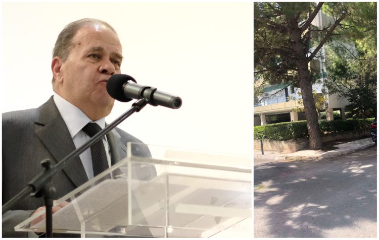 Βασίλης Γρυλλής: «Να μην κοπεί το υγιές πεύκο στην Άνω Πεύκη»