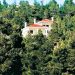 Αυθαίρετα: Ελληνικό δαιμόνιο