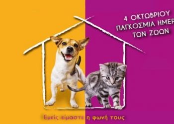 Ο Δήμος Νέας Ιωνίας τιμά την Παγκόσμια Ημέρα των Ζώων