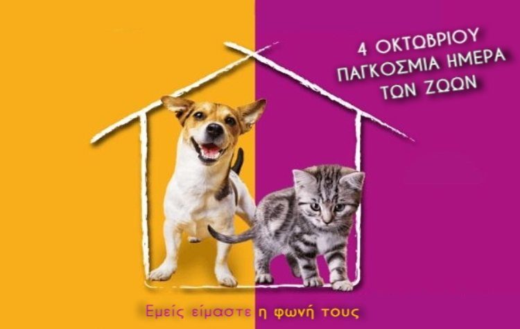 Ο Δήμος Νέας Ιωνίας τιμά την Παγκόσμια Ημέρα των Ζώων