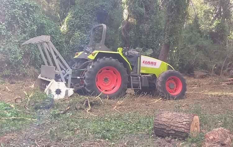 Μ. Διακολιού: «Ετοιμάζουν το δάσος Συγγρού για εμπορική εκμετάλλευση;»