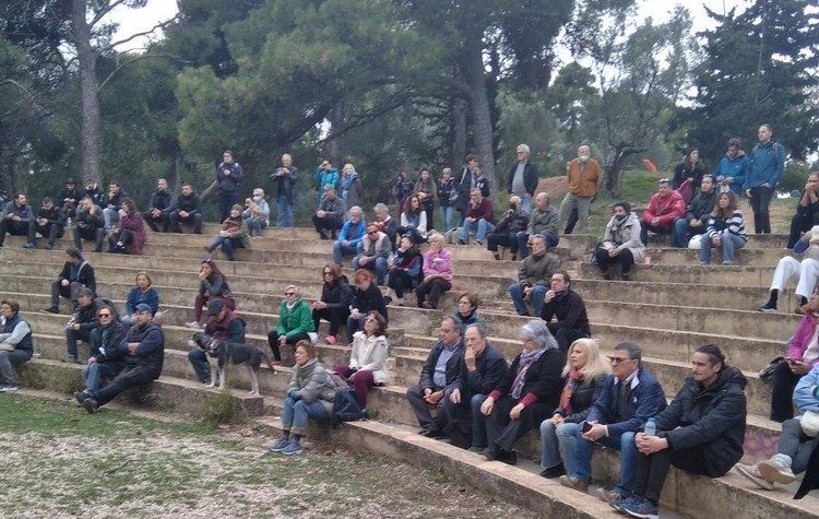 Αναβρασμός για τις αποψιλώσεις στο δάσος Συγγρού και εξηγήσεις από το ΙΓΕ