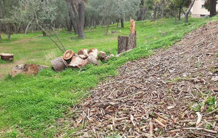 «Συνένοχοι ο κ. Αμπατζόγλου και οι συνεργάτες του στο “έγκλημα” του δάσους Συγγρού!»