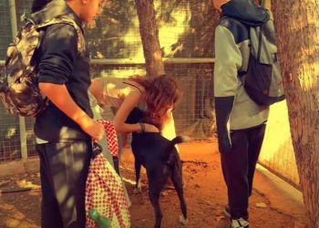 Δράση ζωοφιλίας: Οι μαθητές απέδειξαν ότι «Όλοι Αξίζουν Ένα Σπίτι» (Βίντεο)