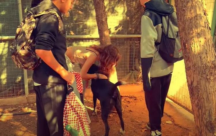 Δράση ζωοφιλίας: Οι μαθητές απέδειξαν ότι «Όλοι Αξίζουν Ένα Σπίτι» (Βίντεο)