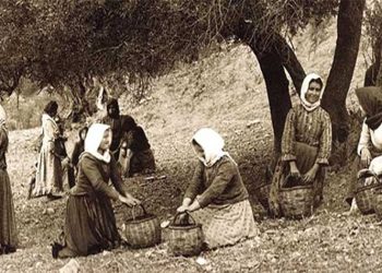 Το λιομάζωμα και το κοκολόι…