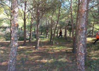 Ξεκίνησαν ξανά οι… αμφιλεγόμενες κοπές βλάστησης στο κτήμα Συγγρού