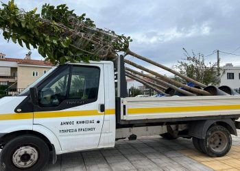 Εκατοντάδες φυτεύσεις για μια πιο πράσινη Κηφισιά