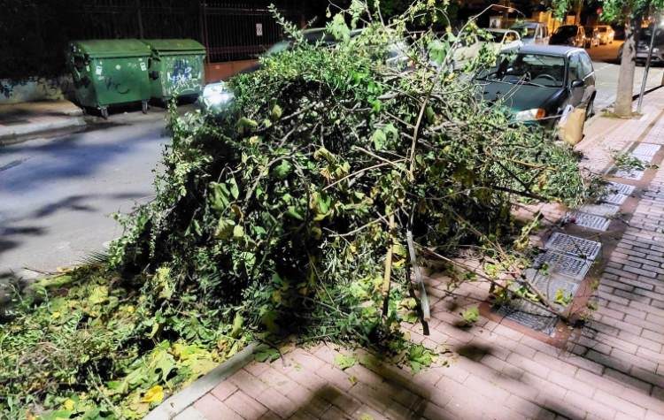 Μήνυμα από τον Σύλλογο Κοντοπεύκου - Παραδείσου για το προτεινόμενο σχέδιο νέου Κανονισμού Kαθαριότητας