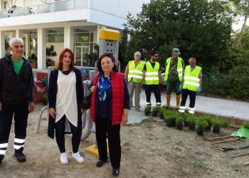Φυτεύσεις και συντήρηση πρασίνου στην περιοχή Εργατικών Κατοικιών Αμαρουσίου​