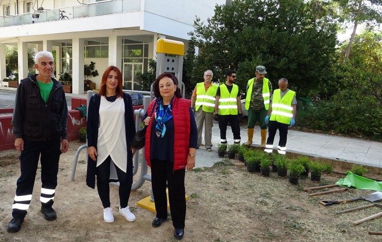 Φυτεύσεις και συντήρηση πρασίνου στην περιοχή Εργατικών Κατοικιών Αμαρουσίου​