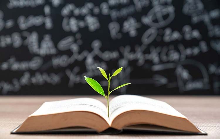 Την Παιδεία και τα μάτια μας