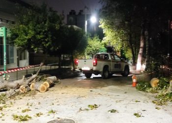 Άμεση κινητοποίηση Πυροσβεστικής και Δήμου για πτώση δέντρου