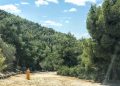 Σύλλογος Κοντόπευκου: Παρέμβαση με ανταπόκριση για το σχέδιο Προεδρικού Διατάγματος προστασίας του Υμηττού