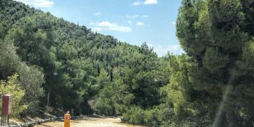 Σύλλογος Κοντόπευκου: Παρέμβαση με ανταπόκριση για το σχέδιο Προεδρικού Διατάγματος προστασίας του Υμηττού