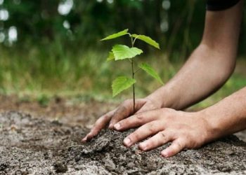 Νέα δράση εθελοντικής αναδάσωσης από τον ΣΠΑΠ και το «Όλοι Μαζί Μπορούμε»