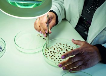 Motor Oil: Δράσεις για την επίτευξη των στόχων της Bιώσιμης Aνάπτυξης