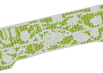 Δήμος Μαραθώνος: Η μελέτη για την αναβάθμιση του δασικού οικοσυστήματος του ΝΑΤ