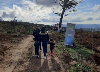 ΜέΡΑ25: «Αντισυνταγματική ανατροπή της λαϊκής βούλησης το “εφεύρημα” της “κυβερνησιμότητας”»