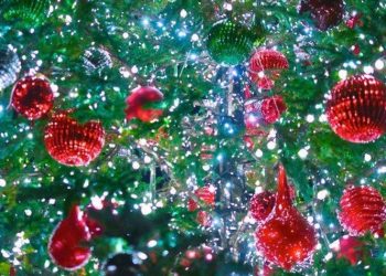 Χριστουγεννιάτικη μουσική βραδιά με την Ορχήστρα Πνευστών «Σύγχρονη Ωδή» στα Μελίσσια