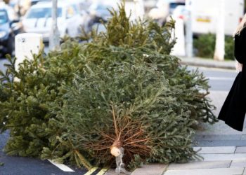 Ανακυκλώνει χριστουγεννιάτικα δένδρα ο Δήμος