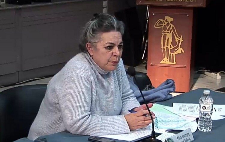 Κ. Ψάλτη: «Ανακοινώστε όλες τις άκυρες αποφάσεις των δημοτικών επιτροπών από 1η Δεκεμβρίου»