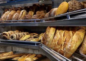 Περιφέρεια Αττικής - ΕΔΣΝΑ: Πάνω από 1.500 αρτοποιοί κάνουν «στροφή» στην κυκλική οικονομία