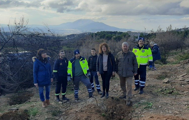 Πλήθος κόσμου στην 1η Δράση Εθελοντικής Αναδάσωσης του 2023 στο Πεντελικό