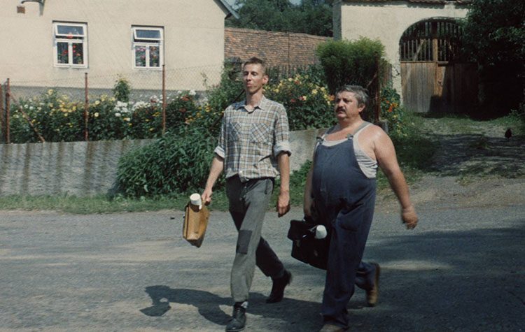 «Ημέρες Κινηματογράφου»: Το κωμικό «Γλυκό μου χωριό» στη Δροσιά