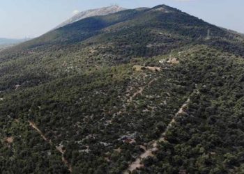 Σύλλογος Κοντοπεύκου - Παραδείσου: Παρέμβαση σε ΥΠΕΝ και ΣτΕ για τον Υμηττό