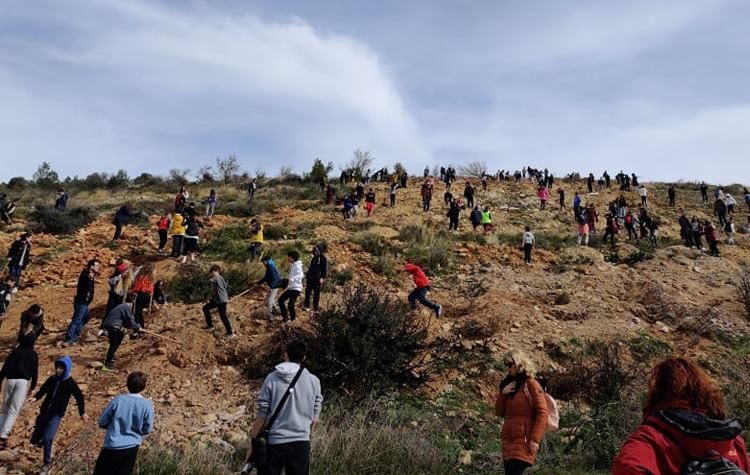 1ο Λύκειο: Επιστροφή στις πανελλήνιες διακρίσεις με… πράσινο χρώμα