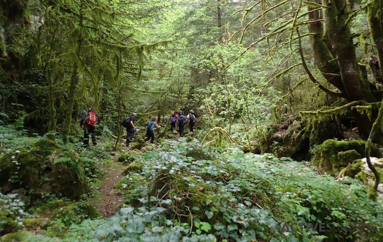 Πεζοπόροι σε νέες περιηγήσεις εντός και εκτός Αττικής
