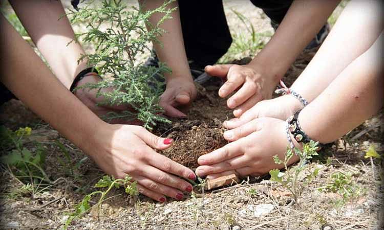 Εθελοντική δενδροφύτευση του Δήμου το Σάββατο 11 Φεβρουαρίου