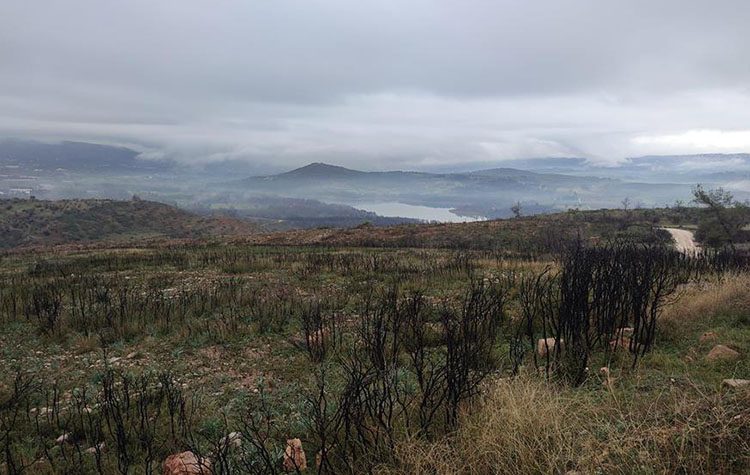 Ο φαύλος κύκλος