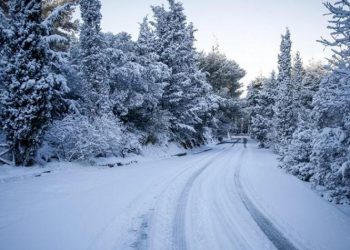 Βεβαίωση αδυναμίας μετακίνησης για τις 5 και 6/2 από τον Δήμο Διονύσου