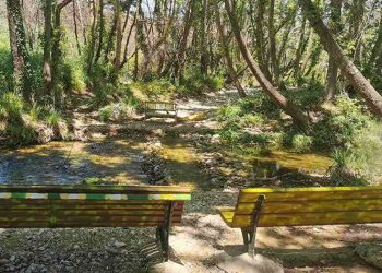 «Κηφισσός» & Σχολεία Αδαμών συγκεντρώνουν αγαθά για τους σεισμόπληκτους