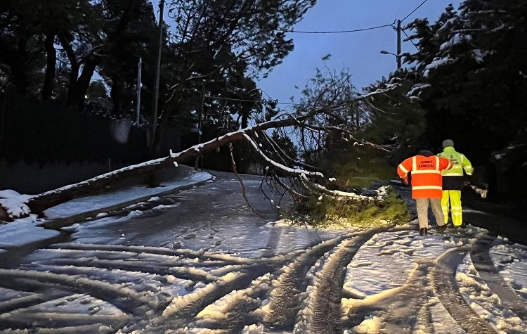 Συνεδριάζει στις 6/2 το Συντονιστικό Τοπικό Όργανο Πολιτικής Προστασίας