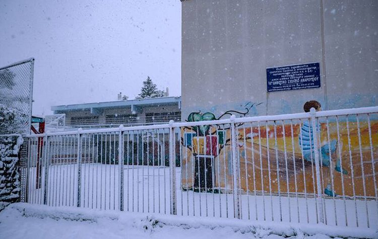 Δήμος Αμαρουσίου: «Ανοιχτοί οι Παιδικοί Σταθμοί, προσέλευση ως τις 09:00 στα σχολεία»