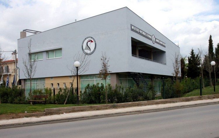 Διαδικτυακό εργαστήριο για τον κόσμο των πουλιών από το Μουσείο Φυσικής Ιστορίας Δήμου Αμαρουσίου