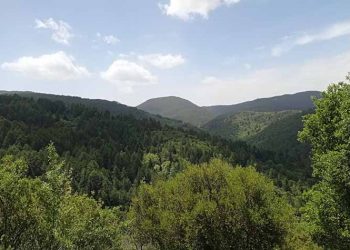 Πεζοπορία στη Βαμβακού Λακωνίας διοργανώνει ο ΠΑΟΔΗΒ