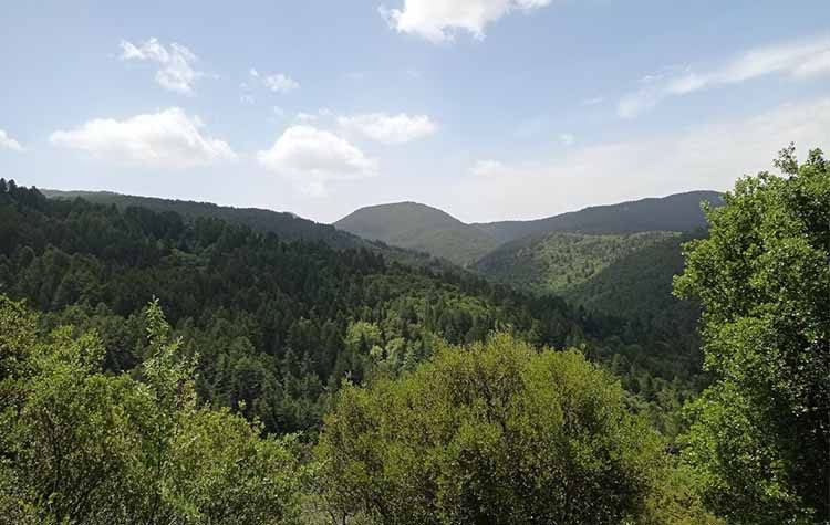Πεζοπορία στη Βαμβακού Λακωνίας διοργανώνει ο ΠΑΟΔΗΒ