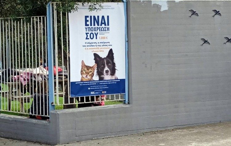 Ο Δήμος συνεχίζει την καμπάνια ενημέρωσης και ευαισθητοποίησης για τα ζώα
