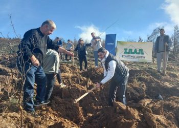 Καθαρά Δευτέρα με δράση αναδάσωσης στο Πεντελικό από τον ΣΠΑΠ