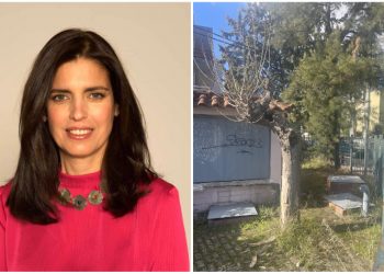 Yπερψηφίστηκε η πρόταση της Ν. Γεροντάκη για τις μουριές του Δήμου