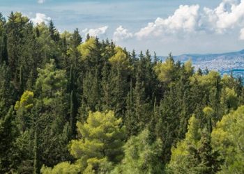Κοινή παρέμβαση τεσσάρων συλλόγων κατοίκων για τον Υμηττό