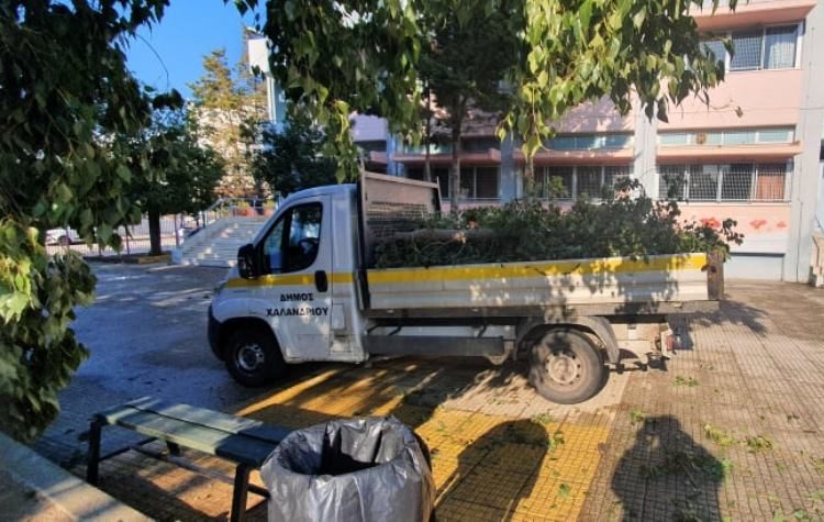 Σύλλογος Εργαζομένων Δήμου: «“Πάμε κι όπου βγει” από τη διοίκηση στα κλαδέματα»