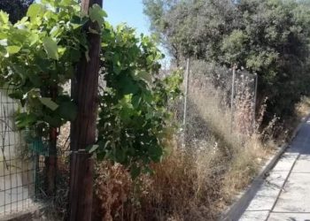 Nέα υπενθύμιση του Δήμου για καθαρισμούς οικοπέδων