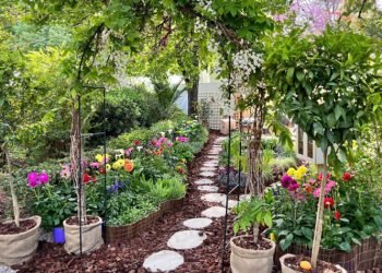 Πήραν μπροστά οι… μηχανές για την 69η Ανθοκομική Έκθεση