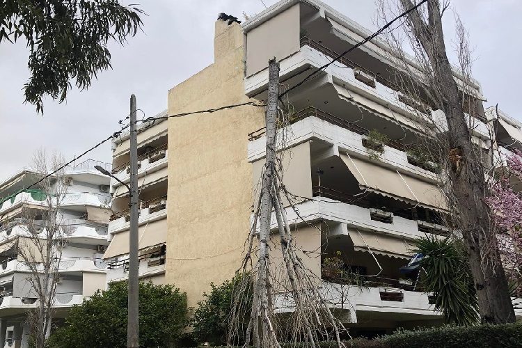 «Δήμος Μπροστά+»: «Επικίνδυνο κλαδί στα καλώδια της ΔΕΗ»